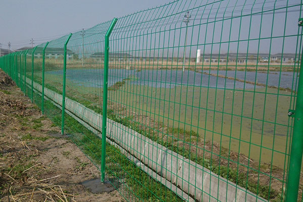 双边丝护栏网图片2