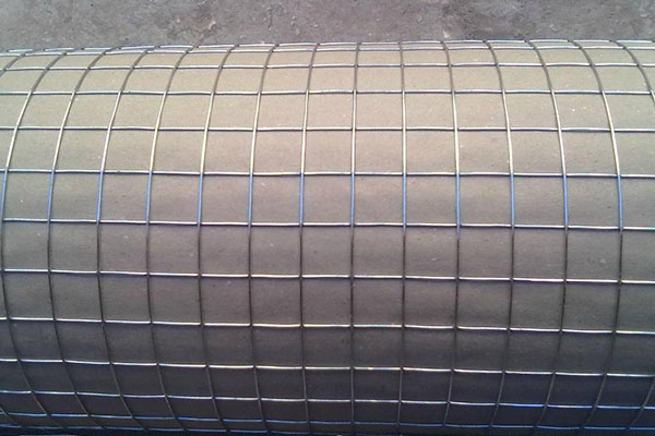 镀锌电焊网图片1