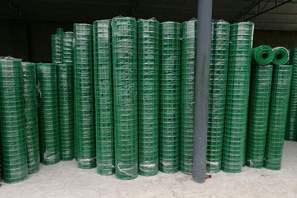 养殖荷兰网图片4