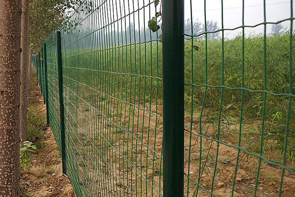 圈地荷兰网图片2