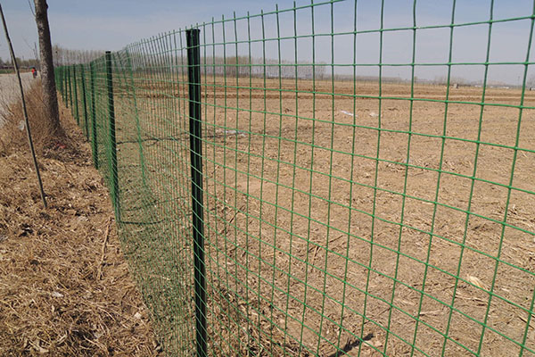 圈地荷兰网图片1