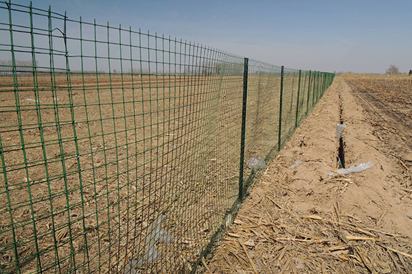 圈地荷兰网图片3